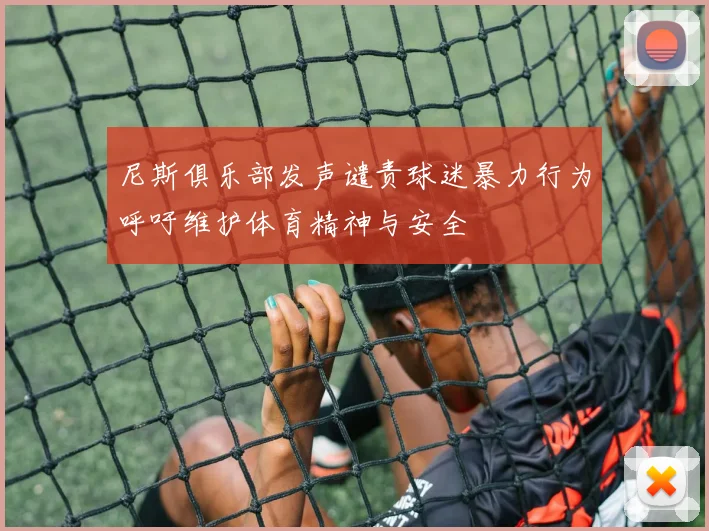 尼斯俱乐部发声谴责球迷暴力行为呼吁维护体育精神与安全