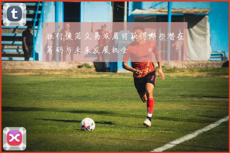 独行侠若交易浓眉将获得哪些潜在筹码与未来发展机会