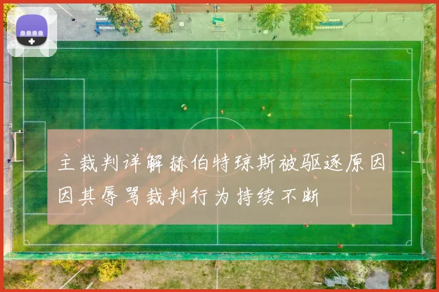 主裁判详解赫伯特琼斯被驱逐原因因其辱骂裁判行为持续不断